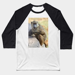 Yellow Baboon Alert While Resting Baseball T-Shirt